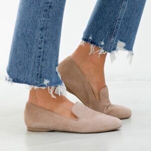 NWOT Birdies The Starling Loafers in Latte Suede